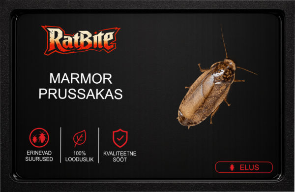 marmorpruusakas mustem Marmorprussakad